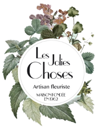 Les Jolies Choses Logo